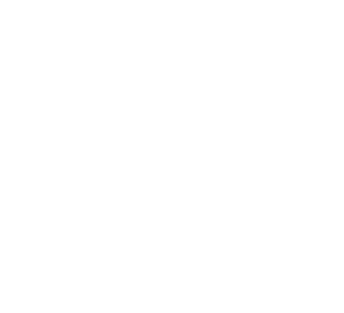 Logo papillon blanc